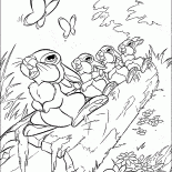 野兔的擊鼓