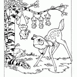 負鼠和小鹿斑比