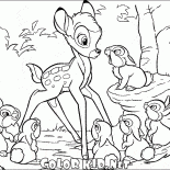 野兔和小鹿斑比