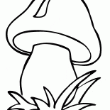 蘑菇
