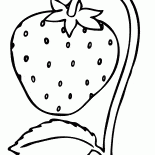 草莓