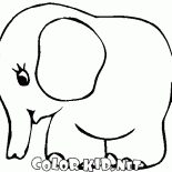 小象