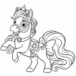 小馬星