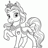 小馬佩蒂特