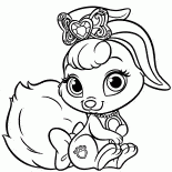 兔子貝里