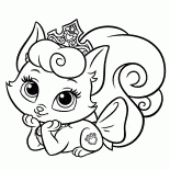 小鷹可愛
