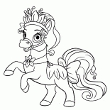小馬睡蓮