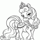 佳美的小馬
