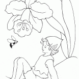 精靈和大黃蜂
