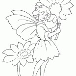 仙女花