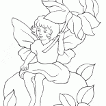 花仙子下