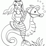 美人魚和海馬