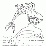 美人魚和海豚