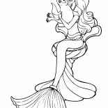 美人魚和海象