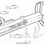海和海洋聲納