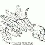 羅文分公司