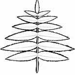 漆樹