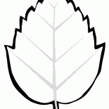 樹葉