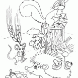 動物做個股