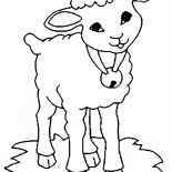 羊帶鈴