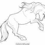 李書福馬