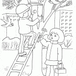 鳥巢在樹上