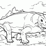 水龍獸