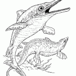 魚龍和蛇頸龍