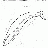 基思