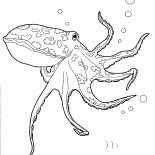 八達通在海洋