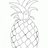 菠蘿蜜
