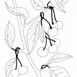 野生櫻桃
