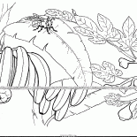無花果和香蕉