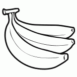 油棕果