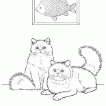 重點色