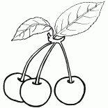 櫻桃