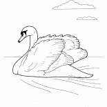 天鵝