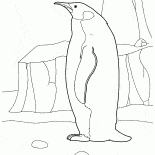 企鵝在北極