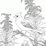 根本