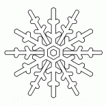 美麗的雪花