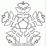 雪花在樹葉的形式