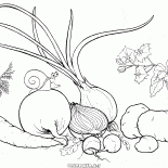 從花園蔬菜