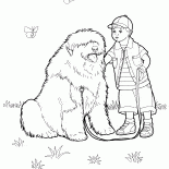 短尾貓