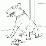 牛頭梗