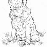 聖伯納犬