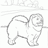 遝