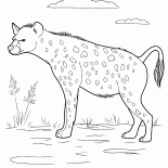 鬣狗狩獵